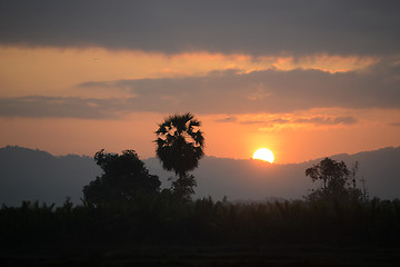 Image showing ASIA MYANMAR MYEIK LANDSCAPE