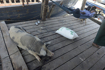 Image showing ASIA MYANMAR MYEIK JETTY HARBOUR