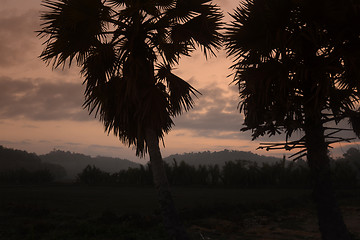 Image showing ASIA MYANMAR MYEIK LANDSCAPE