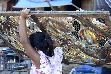 Image showing ASIA MYANMAR MYEIK DRY FISH PRODUCTION