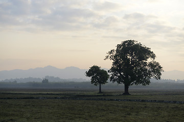 Image showing ASIA MYANMAR MYEIK LANDSCAPE