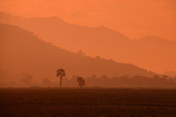 Image showing ASIA MYANMAR MYEIK LANDSCAPE