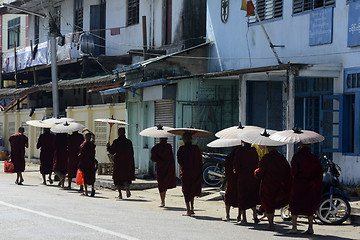 Image showing ASIA MYANMAR MYEIK CITY MONK