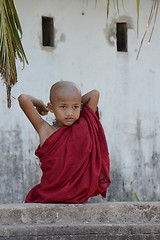 Image showing ASIA MYANMAR MYEIK CITY MONK