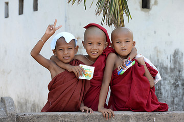 Image showing ASIA MYANMAR MYEIK CITY MONK