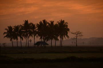 Image showing ASIA MYANMAR MYEIK LANDSCAPE