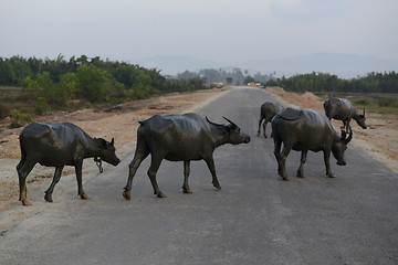 Image showing ASIA MYANMAR MYEIK LANDSCAPE