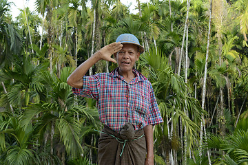 Image showing ASIA MYANMAR MYEIK PEOPLE