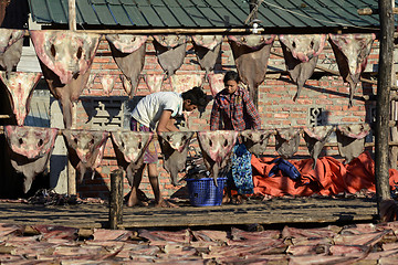 Image showing ASIA MYANMAR MYEIK DRY FISH PRODUCTION