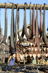 Image showing ASIA MYANMAR MYEIK DRY FISH PRODUCTION