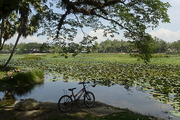 Image showing ASIA MYANMAR MYEIK CITY