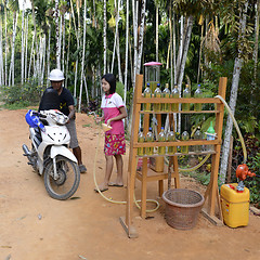 Image showing ASIA MYANMAR MYEIK PEOPLE