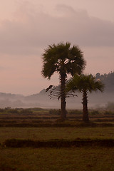 Image showing ASIA MYANMAR MYEIK LANDSCAPE