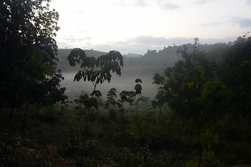 Image showing ASIA MYANMAR MYEIK LANDSCAPE