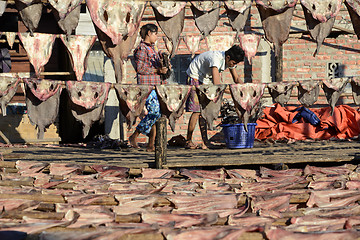 Image showing ASIA MYANMAR MYEIK DRY FISH PRODUCTION