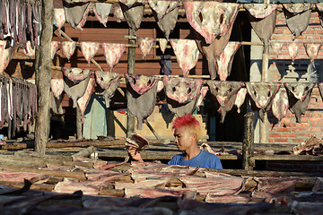 Image showing ASIA MYANMAR MYEIK DRY FISH PRODUCTION