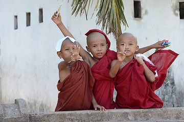 Image showing ASIA MYANMAR MYEIK CITY MONK