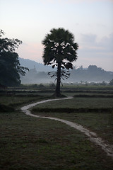 Image showing ASIA MYANMAR MYEIK LANDSCAPE