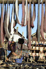 Image showing ASIA MYANMAR MYEIK DRY FISH PRODUCTION