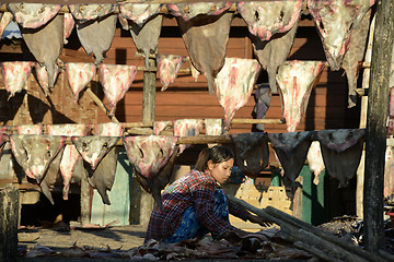 Image showing ASIA MYANMAR MYEIK DRY FISH PRODUCTION