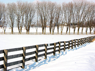 Image showing Farm fence and trees 1