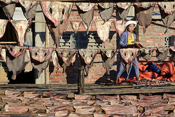 Image showing ASIA MYANMAR MYEIK DRY FISH PRODUCTION