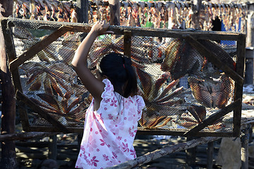 Image showing ASIA MYANMAR MYEIK DRY FISH PRODUCTION