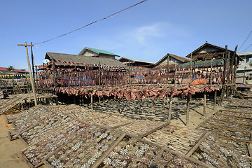 Image showing ASIA MYANMAR MYEIK DRY FISH PRODUCTION