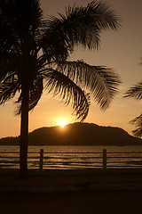 Image showing ASIA MYANMAR MYEIK ANDAMAN SEA