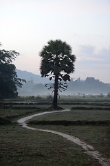 Image showing ASIA MYANMAR MYEIK LANDSCAPE