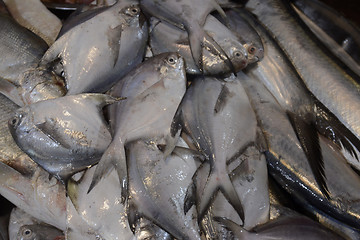 Image showing ASIA MYANMAR MYEIK MARKET