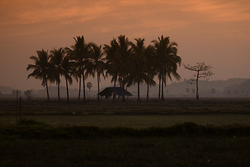 Image showing ASIA MYANMAR MYEIK LANDSCAPE