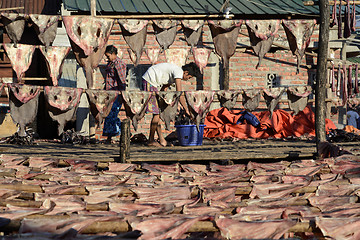 Image showing ASIA MYANMAR MYEIK DRY FISH PRODUCTION