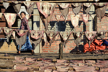 Image showing ASIA MYANMAR MYEIK DRY FISH PRODUCTION