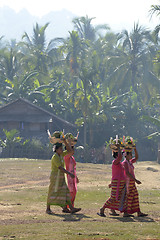 Image showing ASIA MYANMAR MYEIK SHINPYU CEREMONY