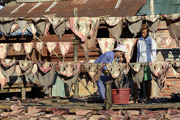 Image showing ASIA MYANMAR MYEIK DRY FISH PRODUCTION