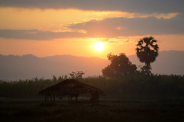 Image showing ASIA MYANMAR MYEIK LANDSCAPE