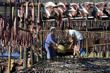 Image showing ASIA MYANMAR MYEIK DRY FISH PRODUCTION