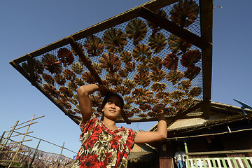 Image showing ASIA MYANMAR MYEIK DRY FISH PRODUCTION