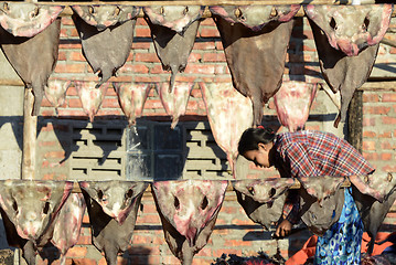 Image showing ASIA MYANMAR MYEIK DRY FISH PRODUCTION