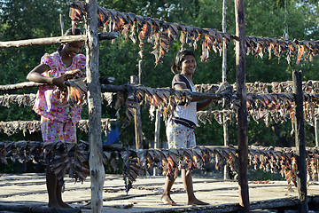 Image showing ASIA MYANMAR MYEIK DRY FISH PRODUCTION