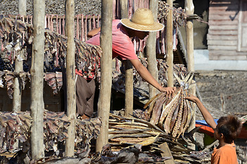 Image showing ASIA MYANMAR MYEIK DRY FISH PRODUCTION