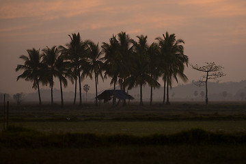 Image showing ASIA MYANMAR MYEIK LANDSCAPE