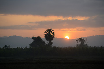 Image showing ASIA MYANMAR MYEIK LANDSCAPE