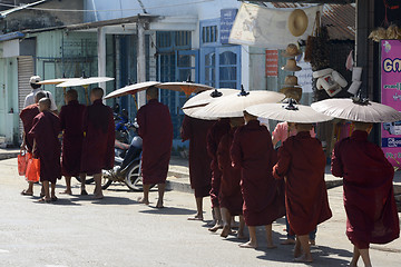 Image showing ASIA MYANMAR MYEIK CITY MONK