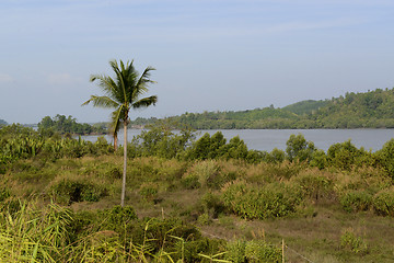 Image showing ASIA MYANMAR MYEIK LANDSCAPE