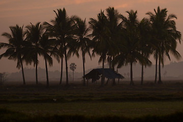 Image showing ASIA MYANMAR MYEIK LANDSCAPE