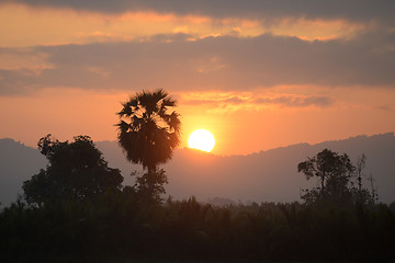 Image showing ASIA MYANMAR MYEIK LANDSCAPE