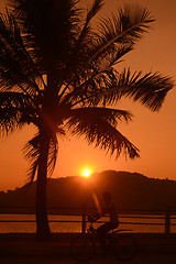 Image showing ASIA MYANMAR MYEIK ANDAMAN SEA