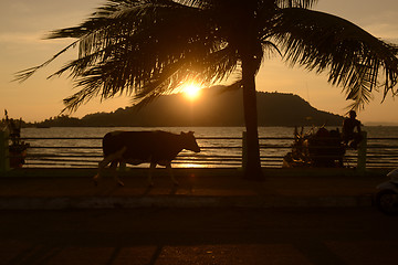 Image showing ASIA MYANMAR MYEIK ANDAMAN SEA